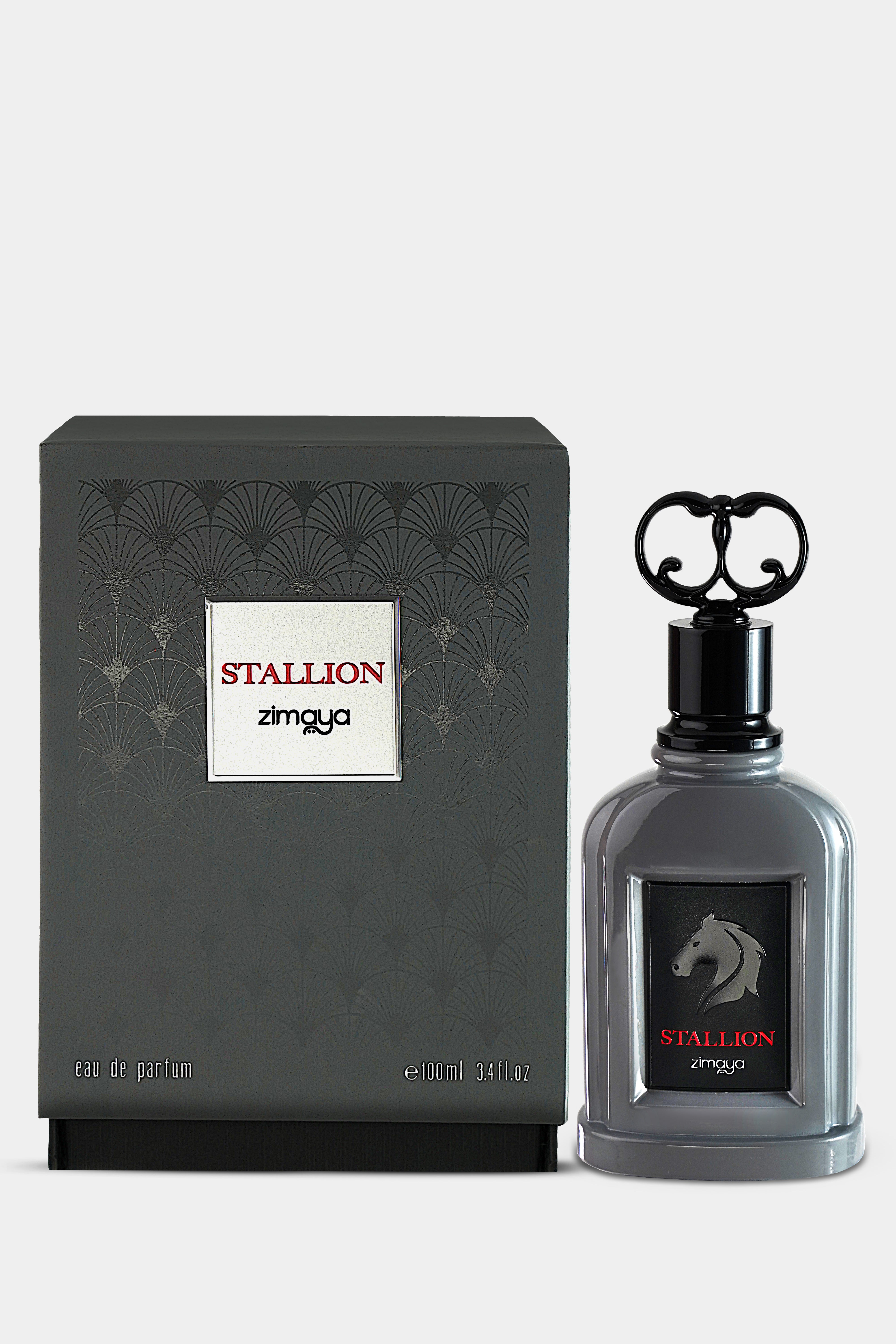 Stallion